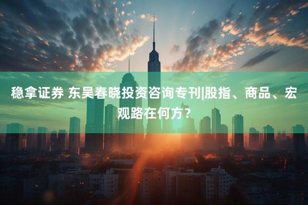 稳拿证券 东吴春晓投资咨询专刊|股指、商品、宏观路在何方？