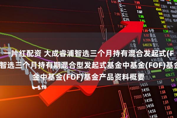 一片红配资 大成睿浦智选三个月持有混合发起式(FOF): 大成睿浦智选三个月持有期混合型发起式基金中基金(FOF)基金产品资料概要