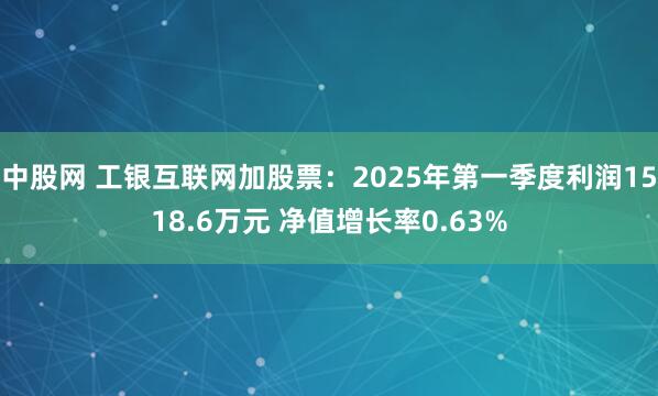 中股网 工银互联网加股票：2025年第一季度利润1518.6万元 净值增长率0.63%